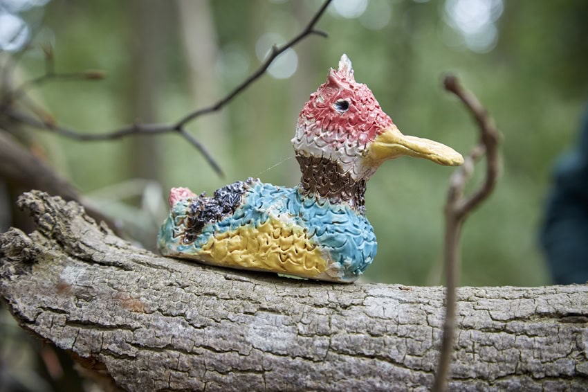 A duck on a branch at Bridgehead woodland trail
